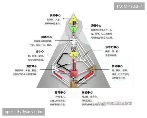 C罗巅峰延续的机制与统治力构建逻辑解析